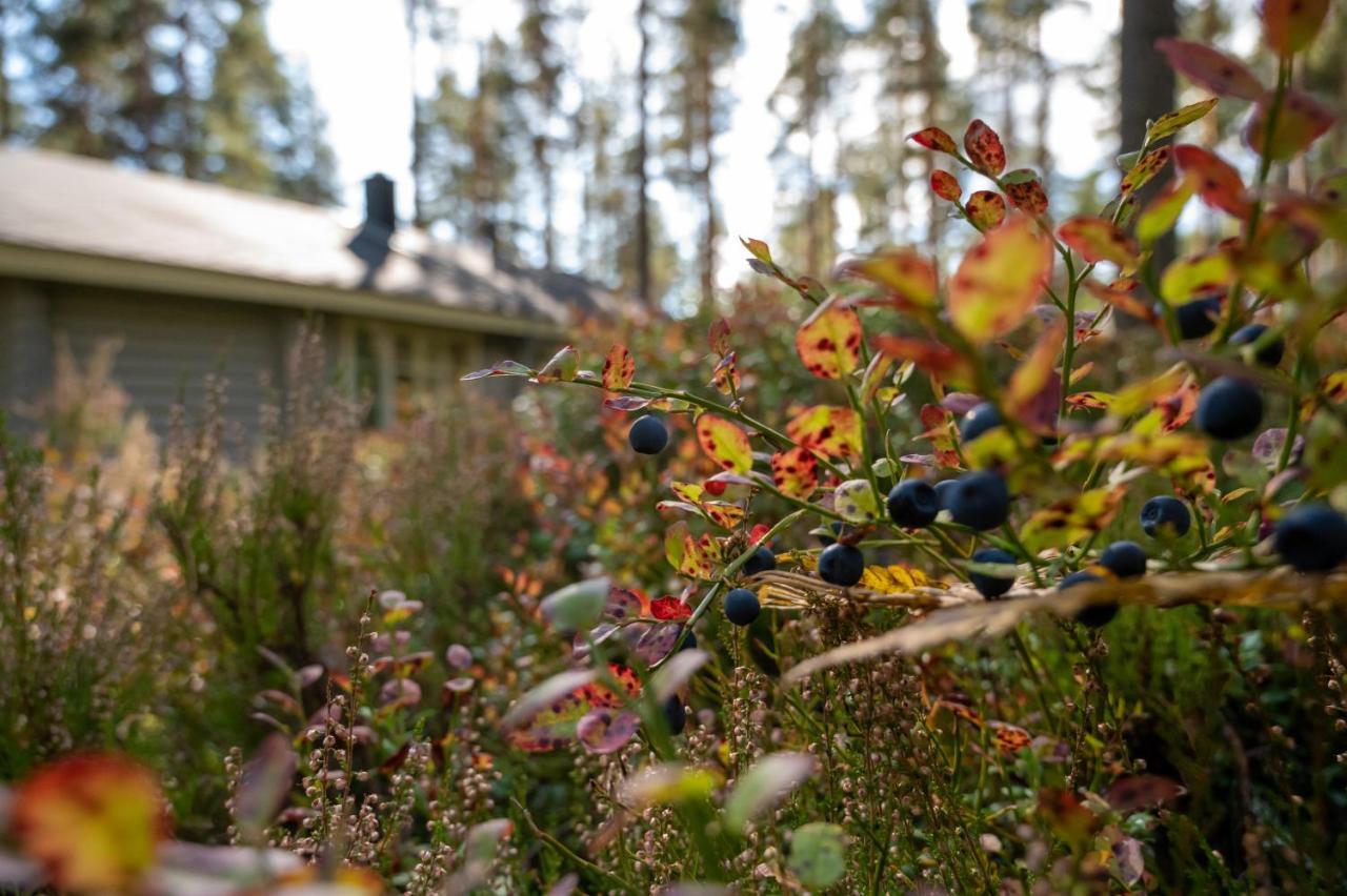 Saimaan Kultaranta Villa