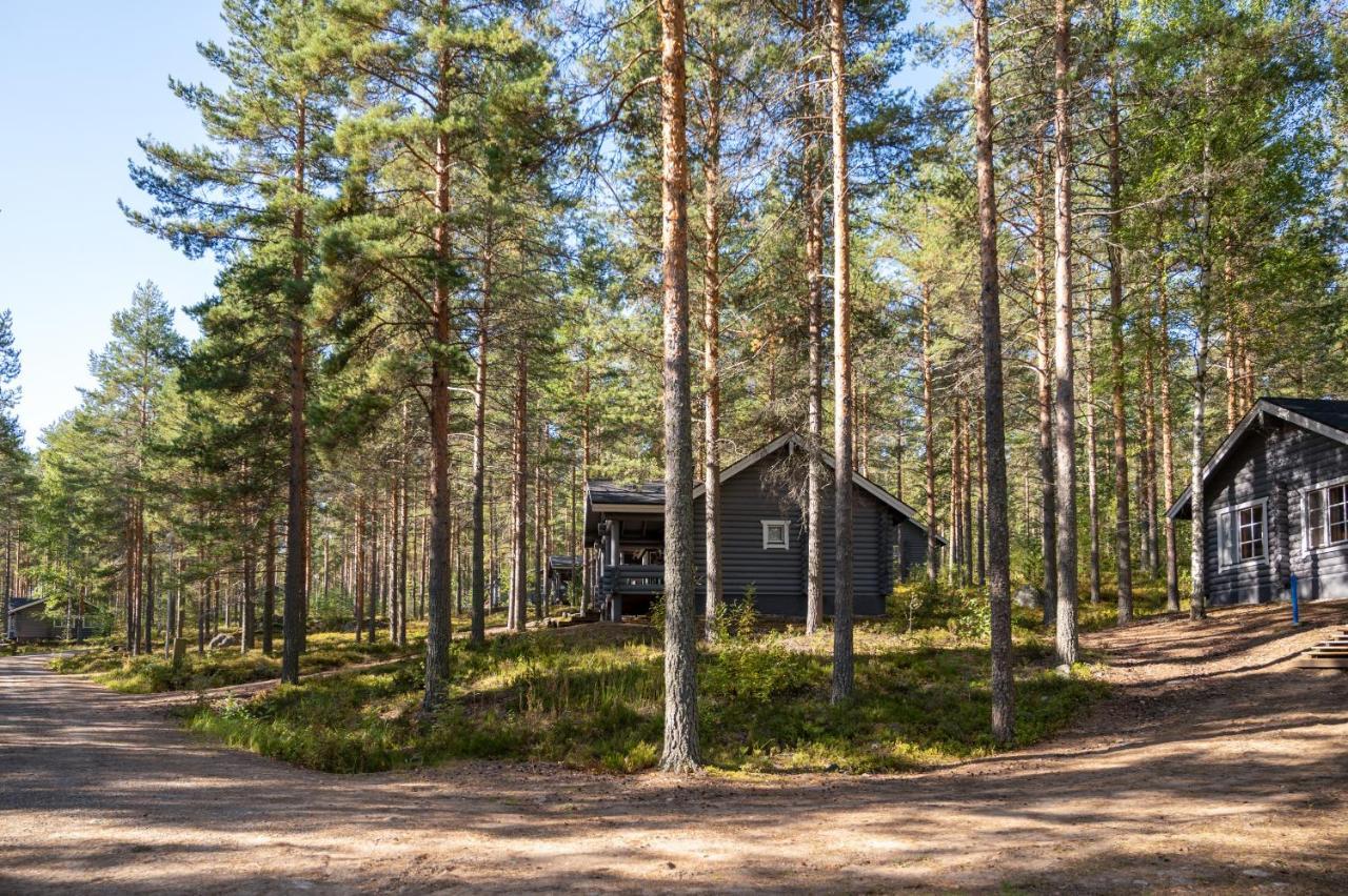 Saimaan Kultaranta Villa Puumala